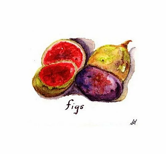 "Figs"