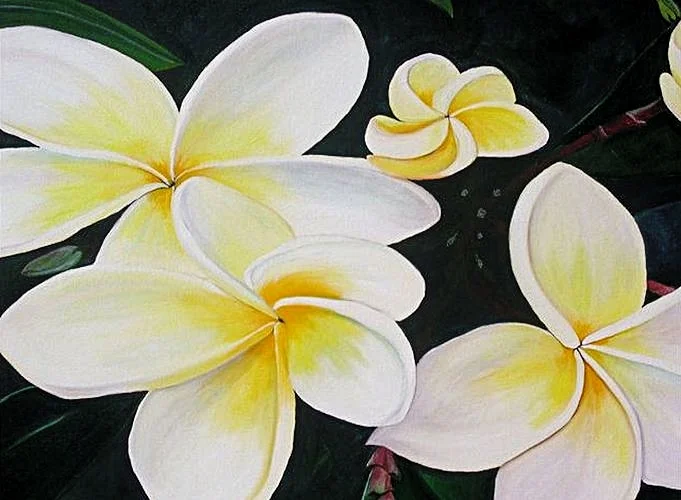 Close up of "Frangipani"