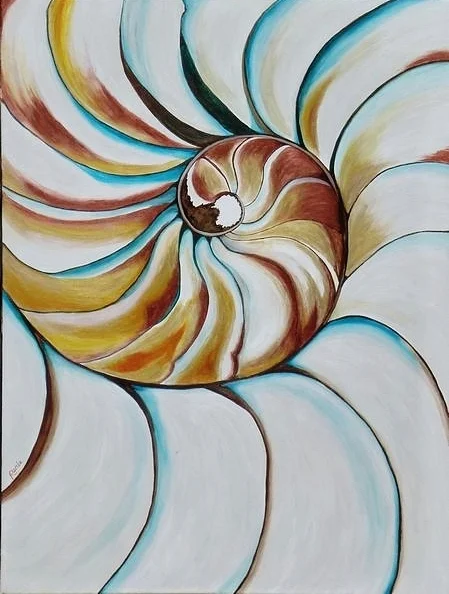"Nautilus"