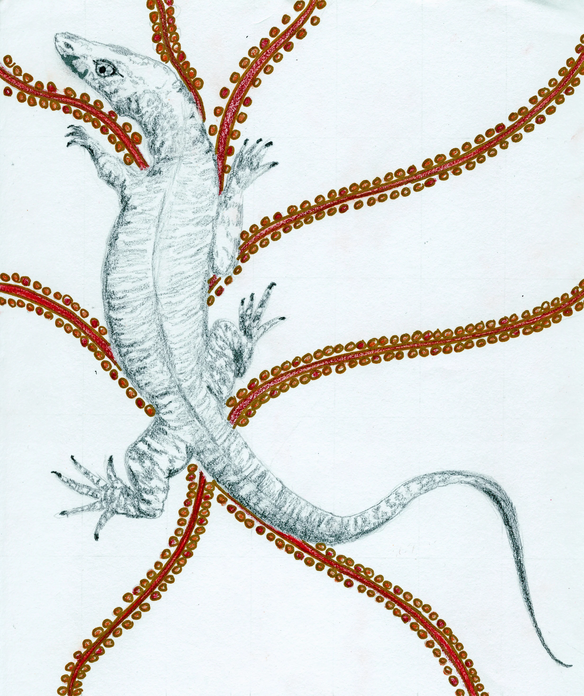 "Goanna Dreaming"