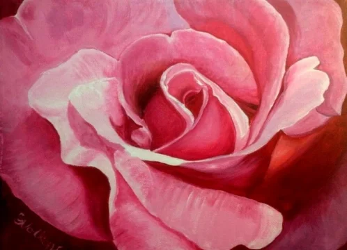 "Stephanie's Rose"