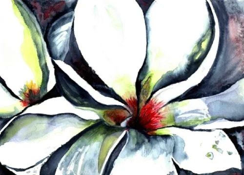 "Wild Magnolia"