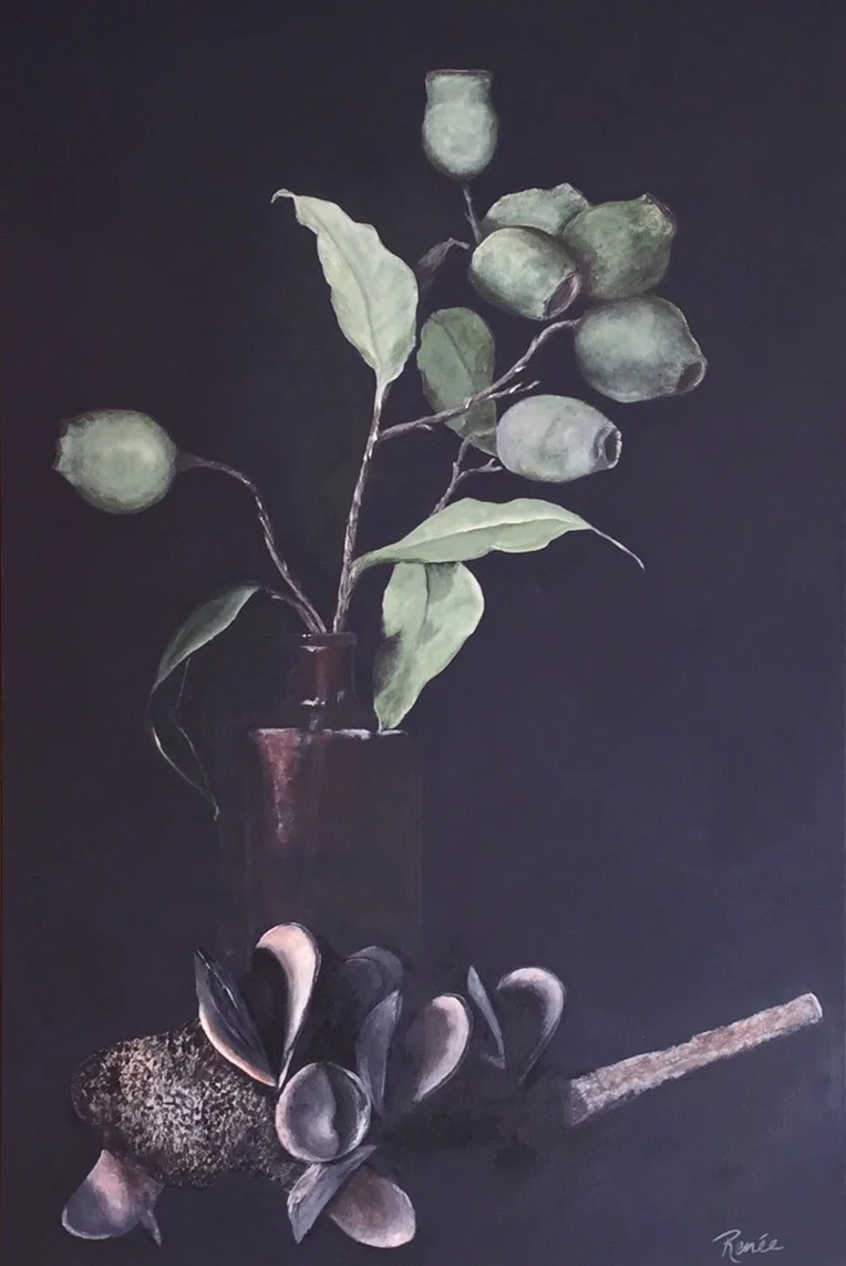 "Gumnuts and Banksia"
