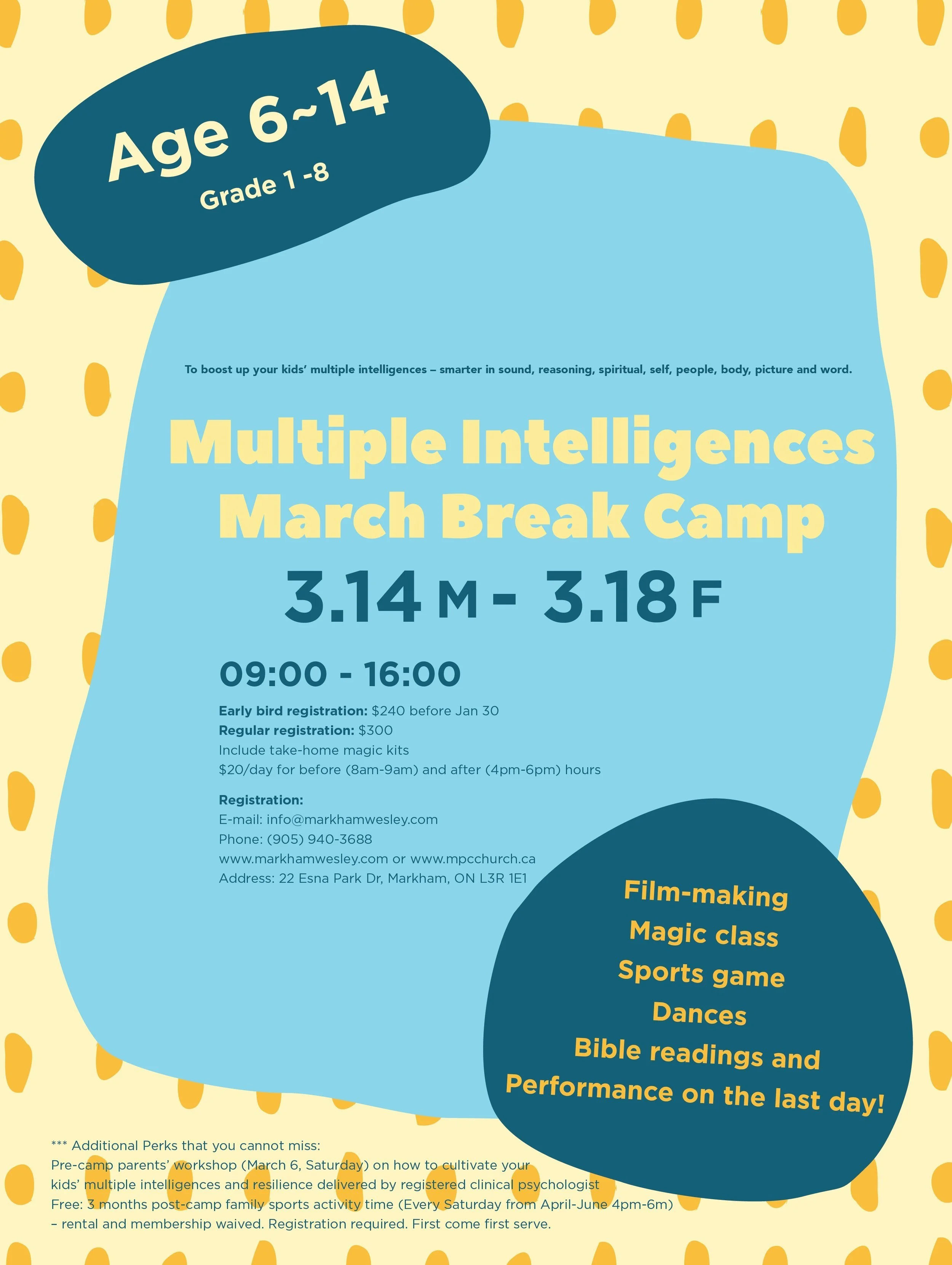 Multiple Intelligences March Break Camp 2022