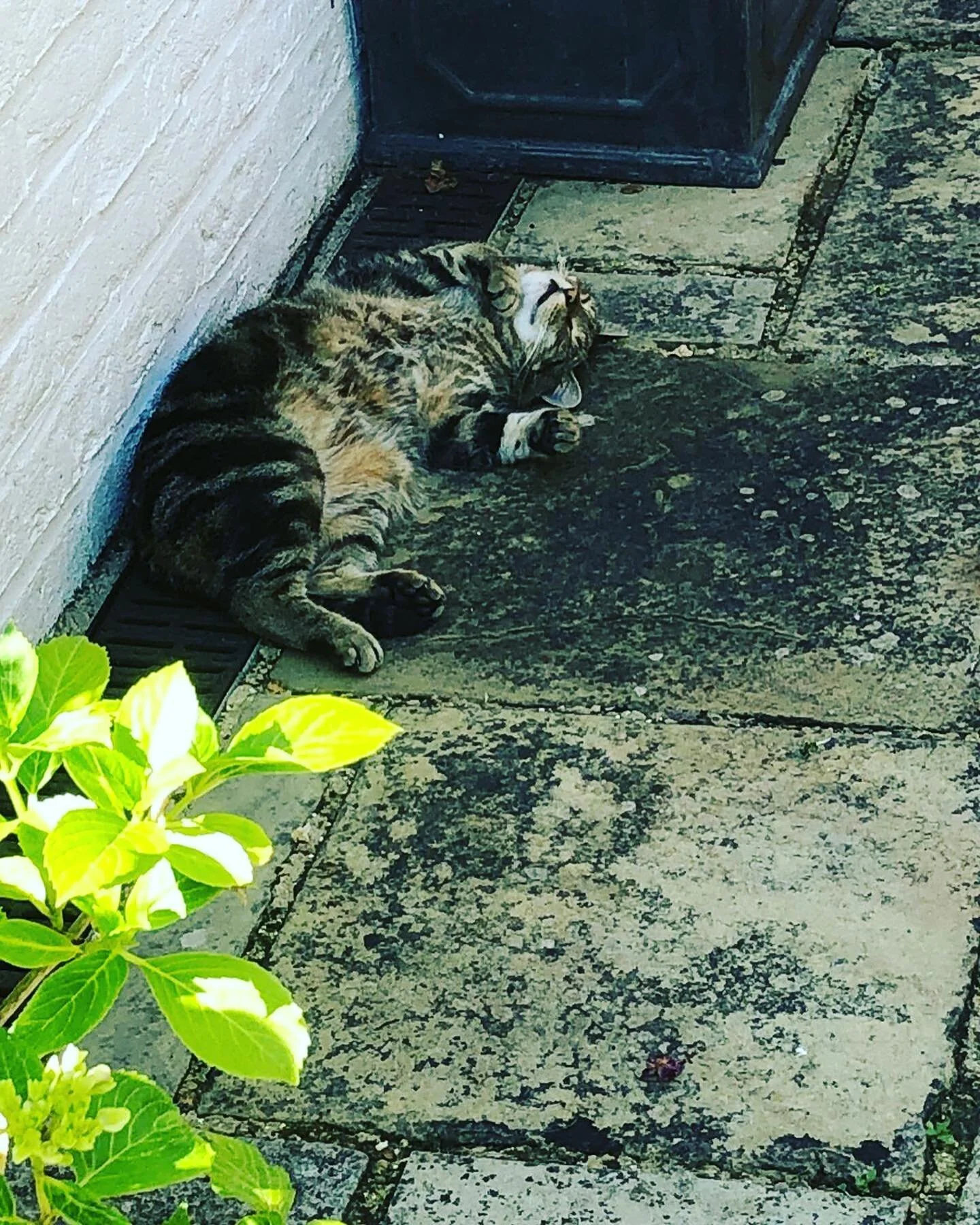 Vaughans B & B Shere, Surrey Luxury Bed and breakfast Shere near