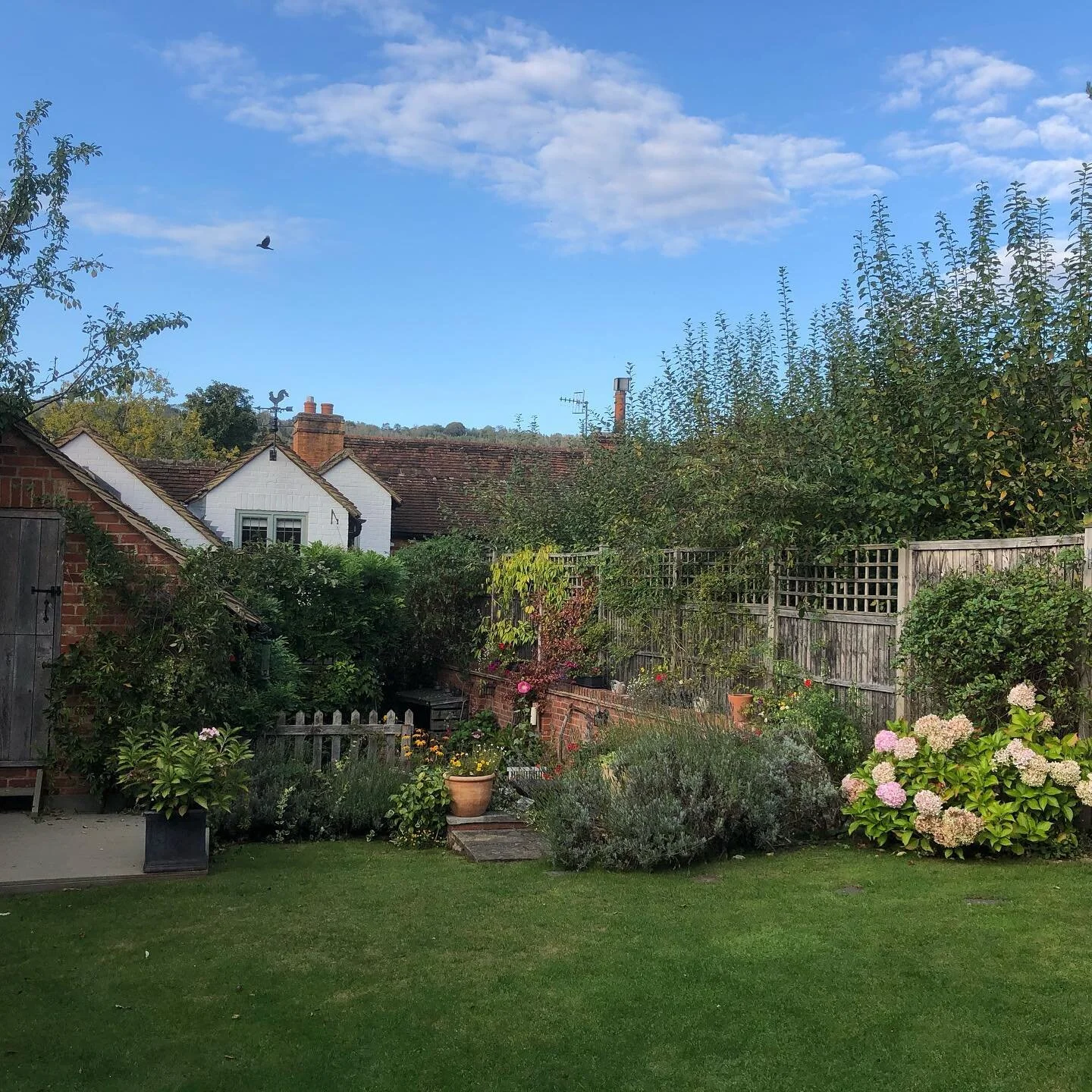 Vaughans B & B Shere, Surrey Luxury Bed and breakfast Shere near