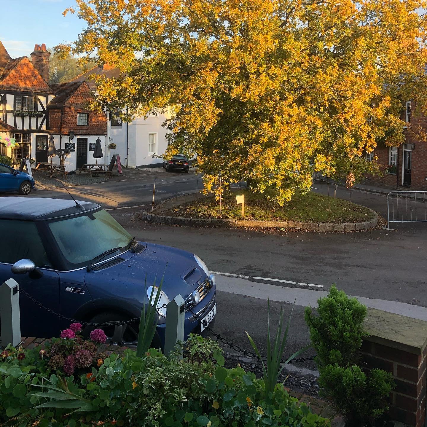 First frost of Autumn at Vaughans in Shere !