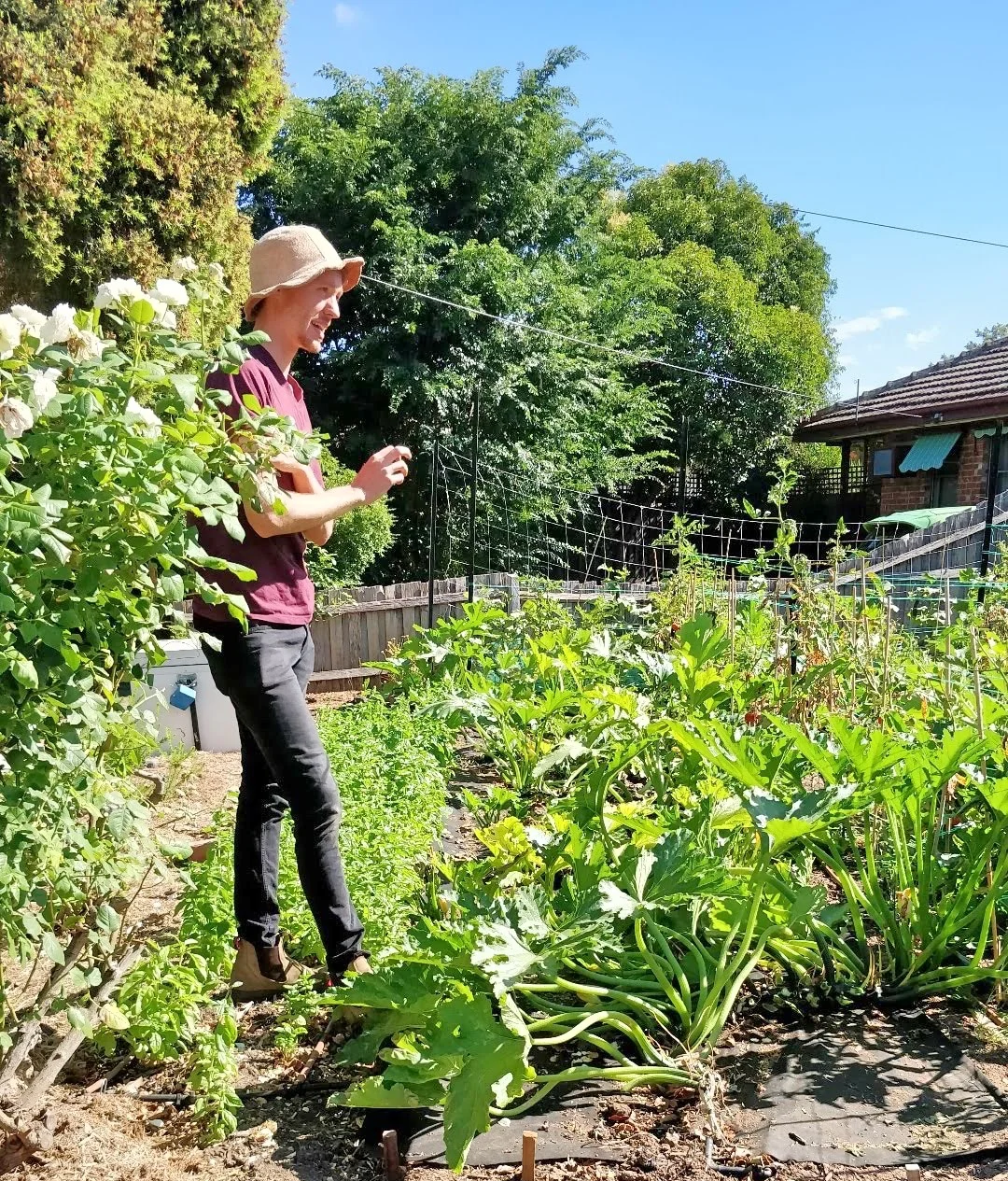 Urban Farms Cropping Up Around Melbourne