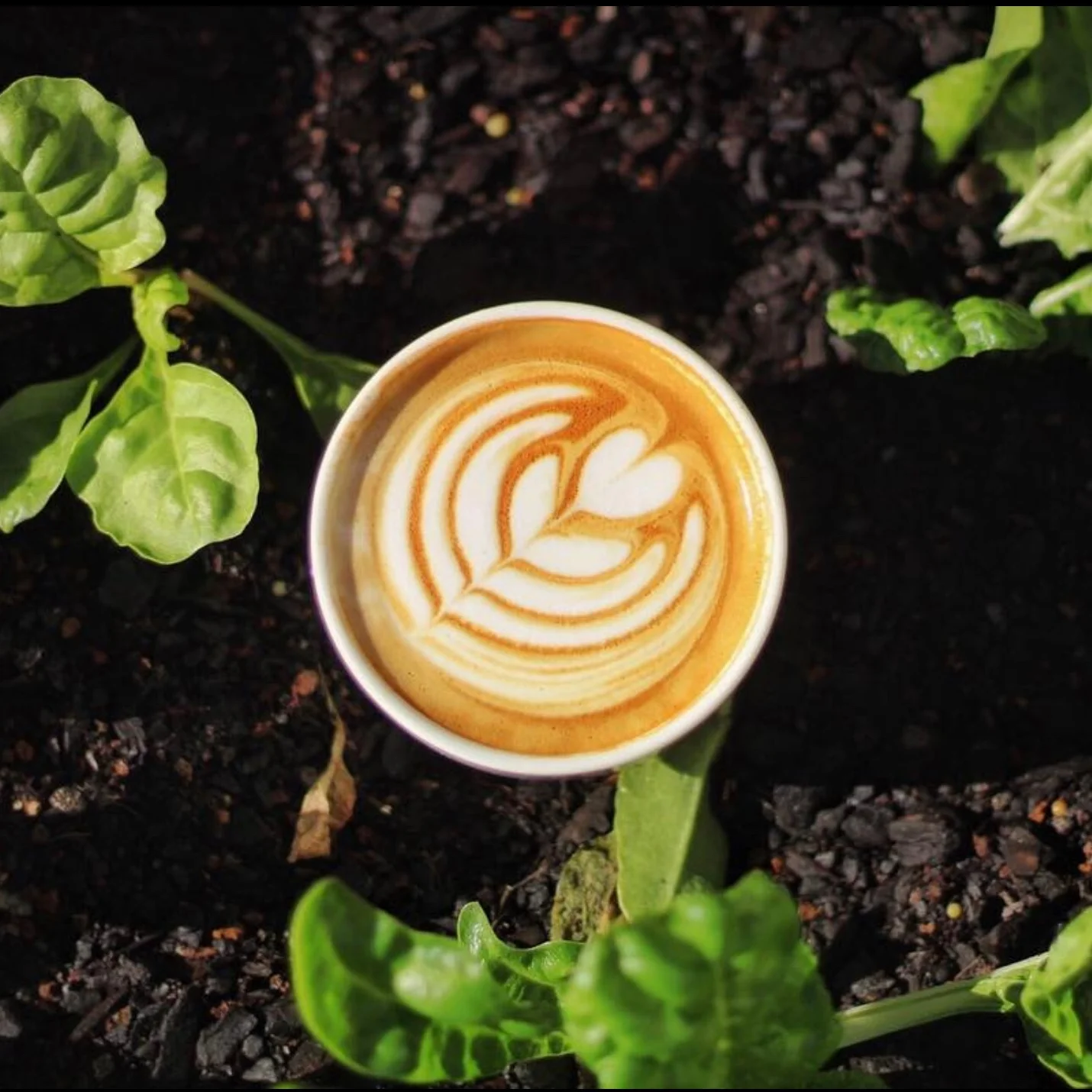 A Community of Companies Working Towards a Sustainable, Resilient Future