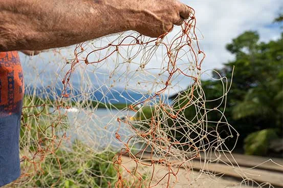WWF Removing and Upcycling Deadly Gill Nets