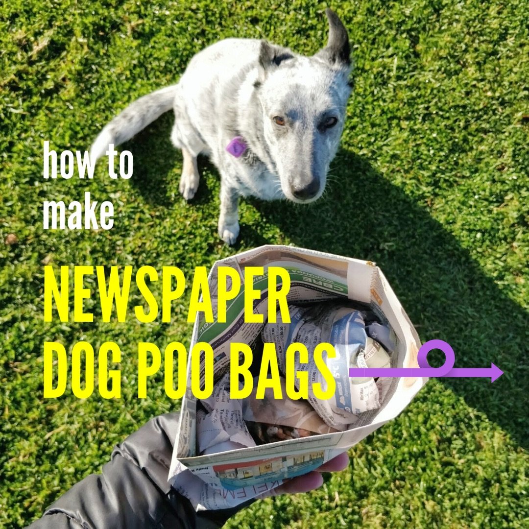 Newspaper dog poo bag how to Reusable Nation pg1.jpg