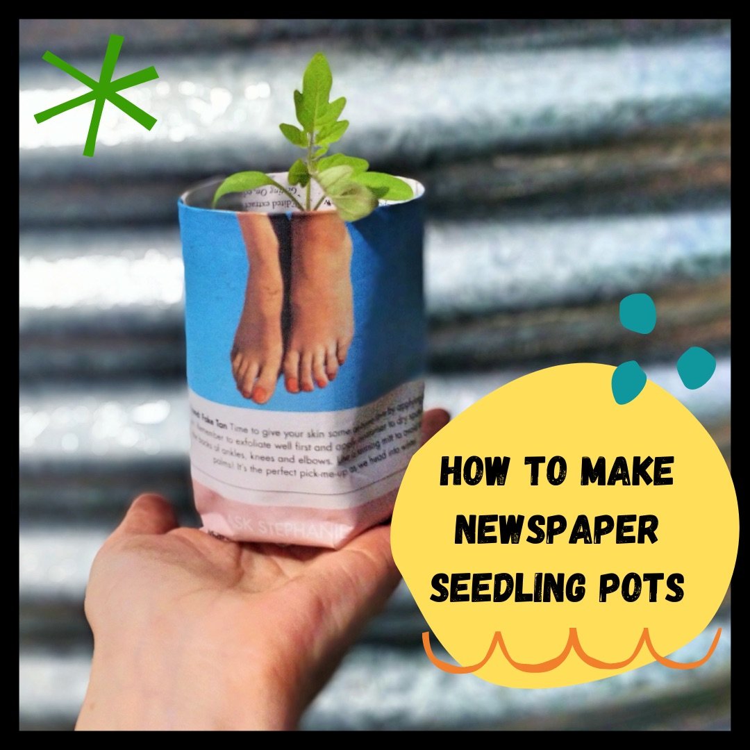 DIY newspaper seedling pots Reusable Nation.jpg