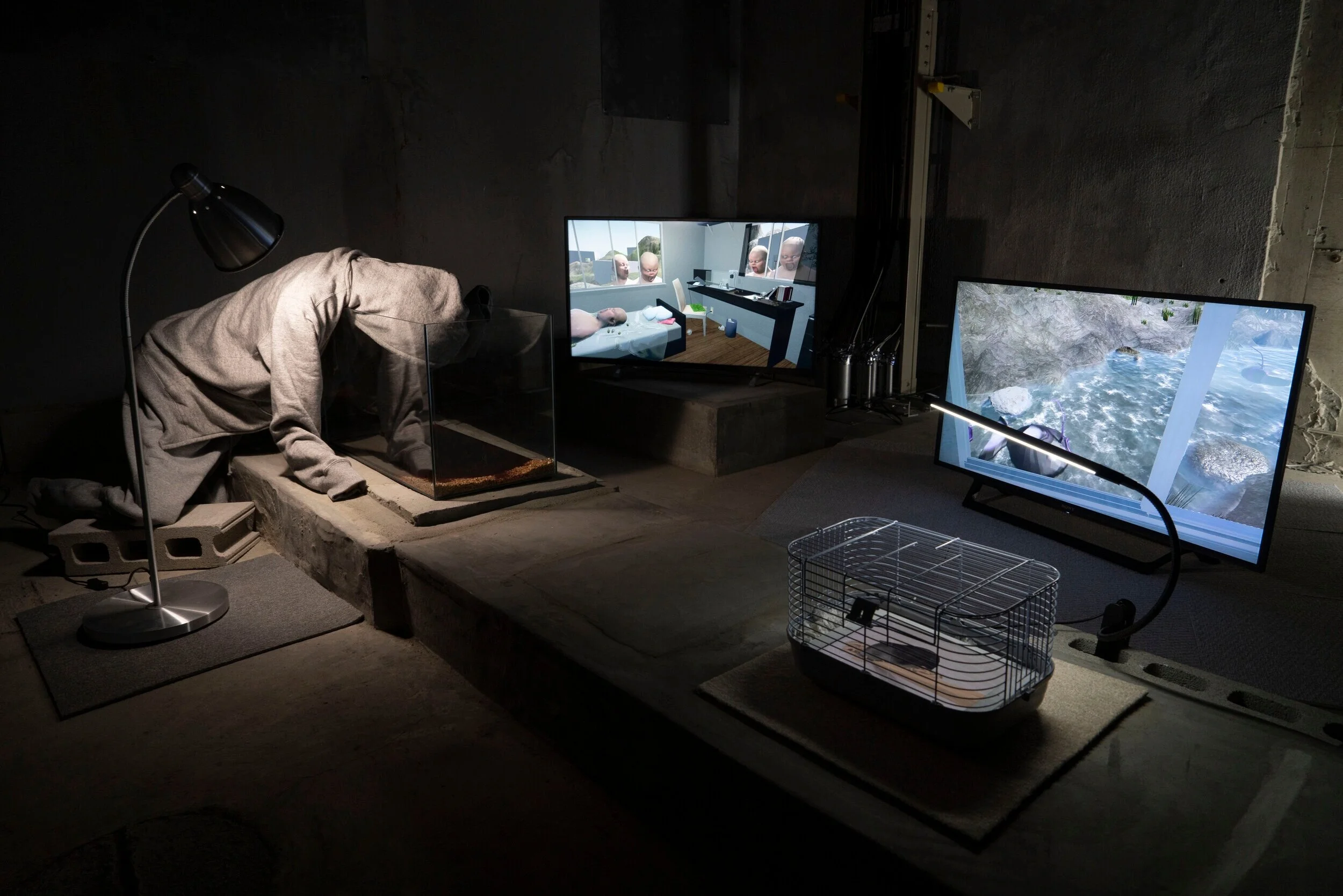 Naoki Okada | Installation