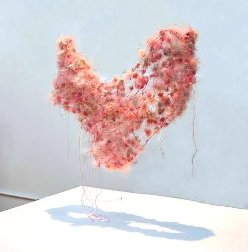 INTERVIEW | Aomi Kikuchi