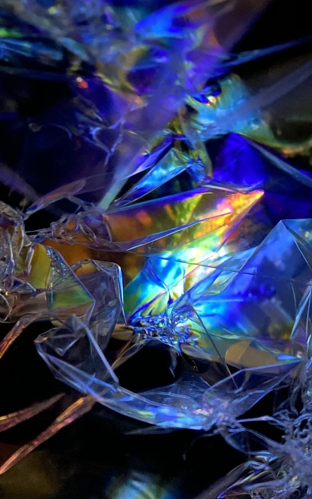 INTERVIEW | Monika Katterwe