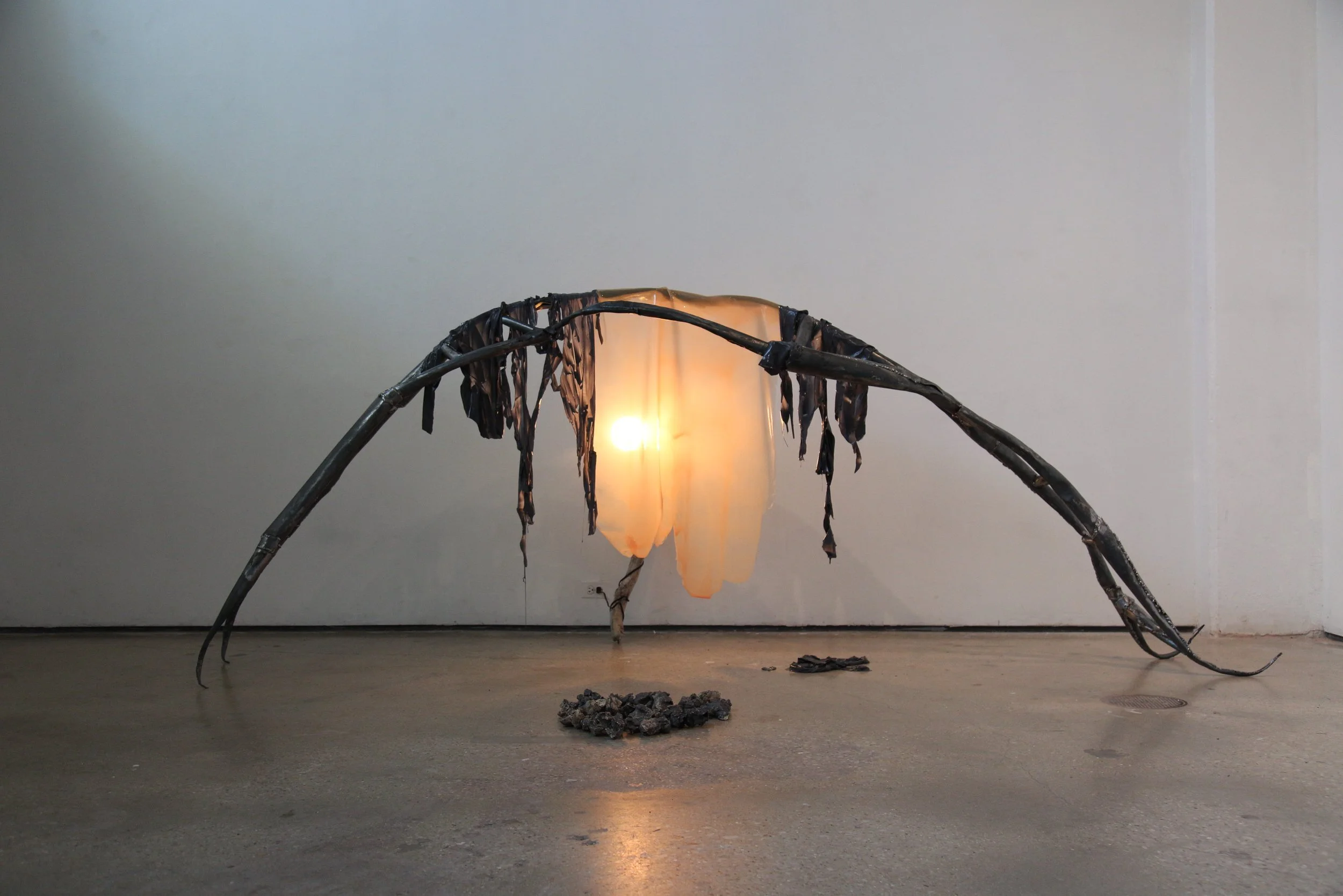 INTERVIEW | Minzhi Zheng