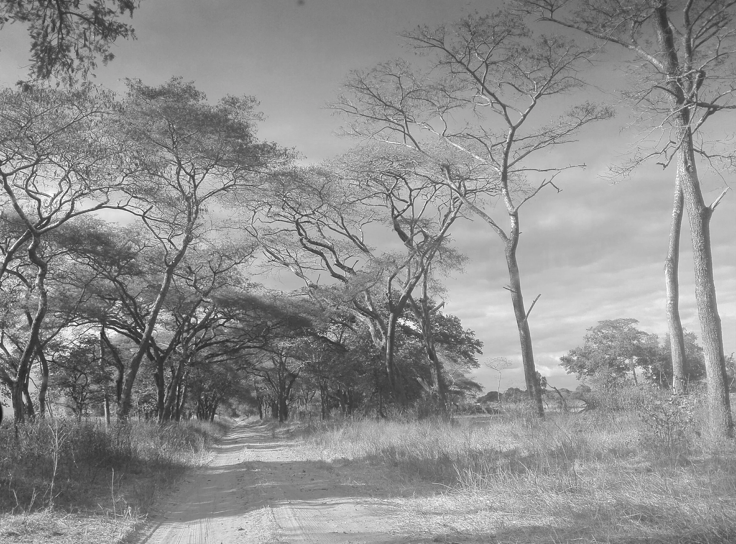 INTERVIEW | Kwabena Ofori-Darkwa