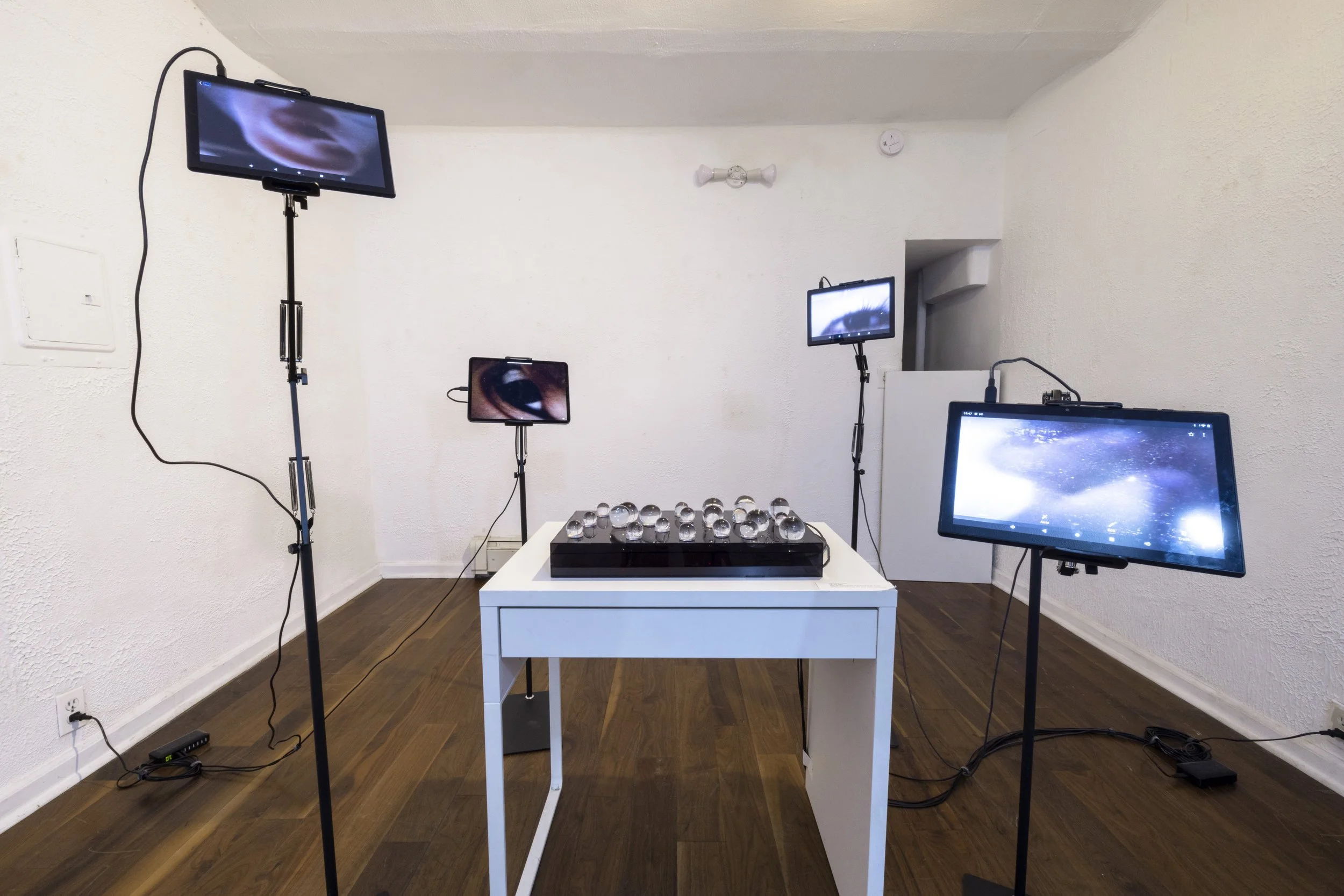 INTERVIEW | Jingyi Gao