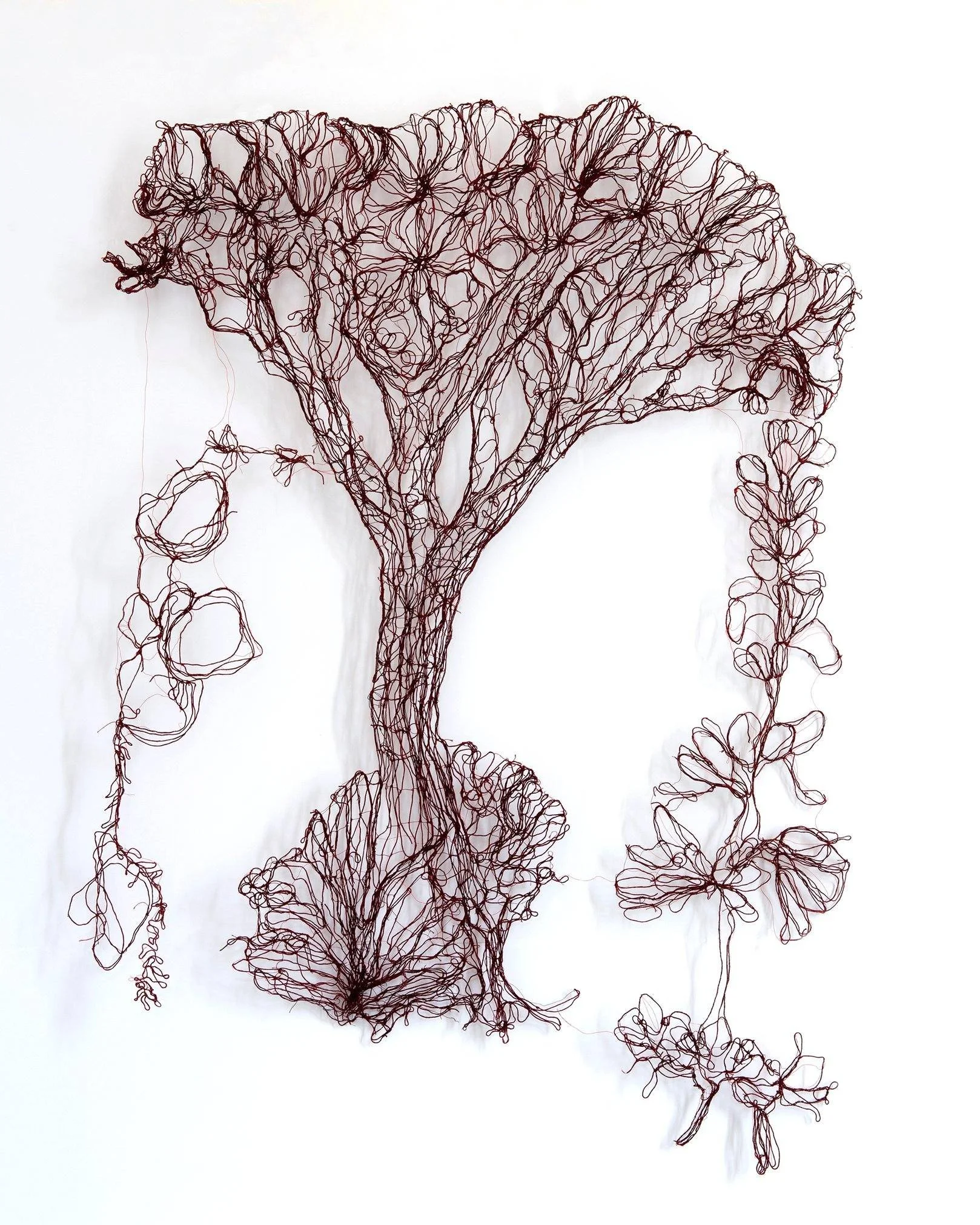 Marina Gasparini, ATLAS X - Dracena Draco, 2014
Cotton thread, wire, and textile hardener
106 &times; 83 cm. Unique

On view at @mvictorbalaguer museum from December 4, 2025 to February 1, 2026.
Av. de V&iacute;ctor Balaguer, 08800 Vilanova i la Gelt