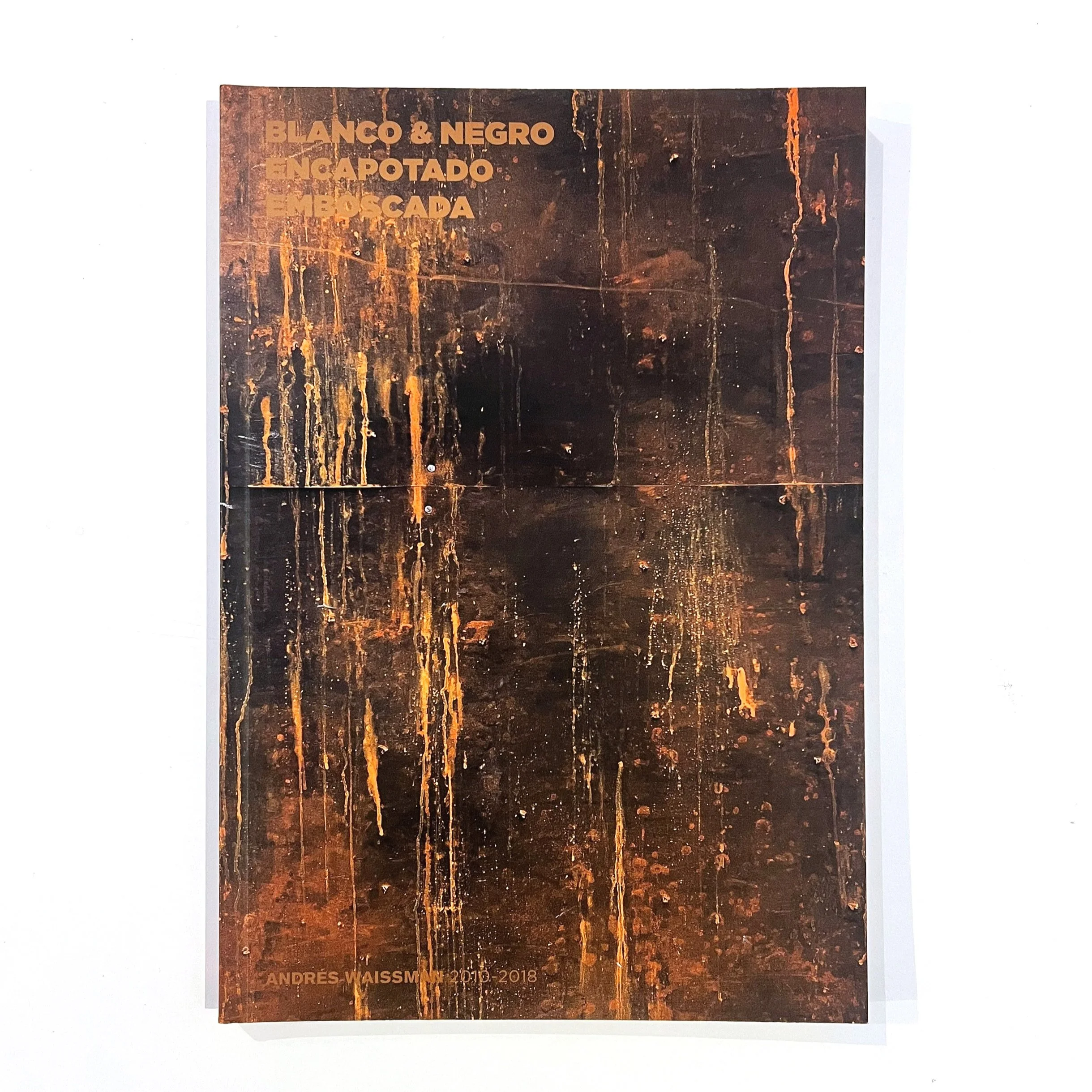 Blanco+%26+NegroEncapotado+Emboscada+Andres+Waissman+Altiba9+Gallery+Artist+book.jpg