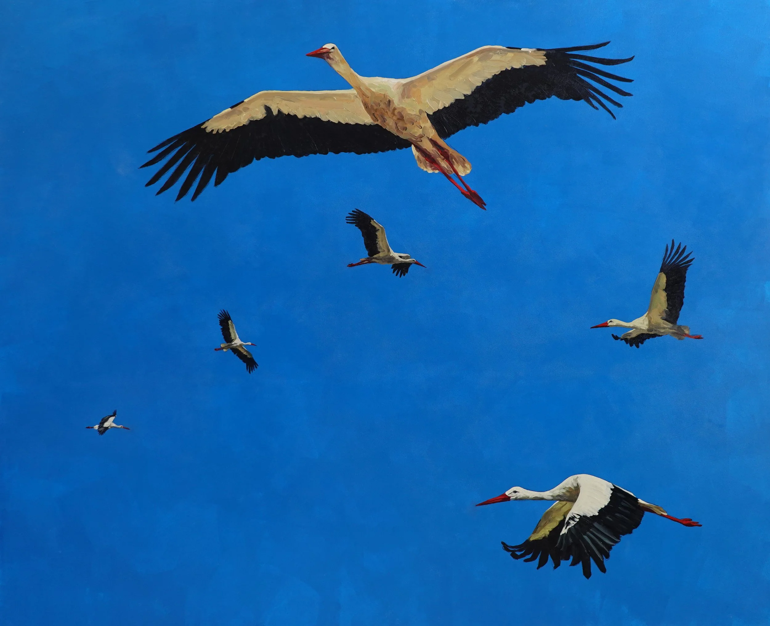 INTERVIEW | Miguel Garcia -&nbsp;Marques de Jadraque