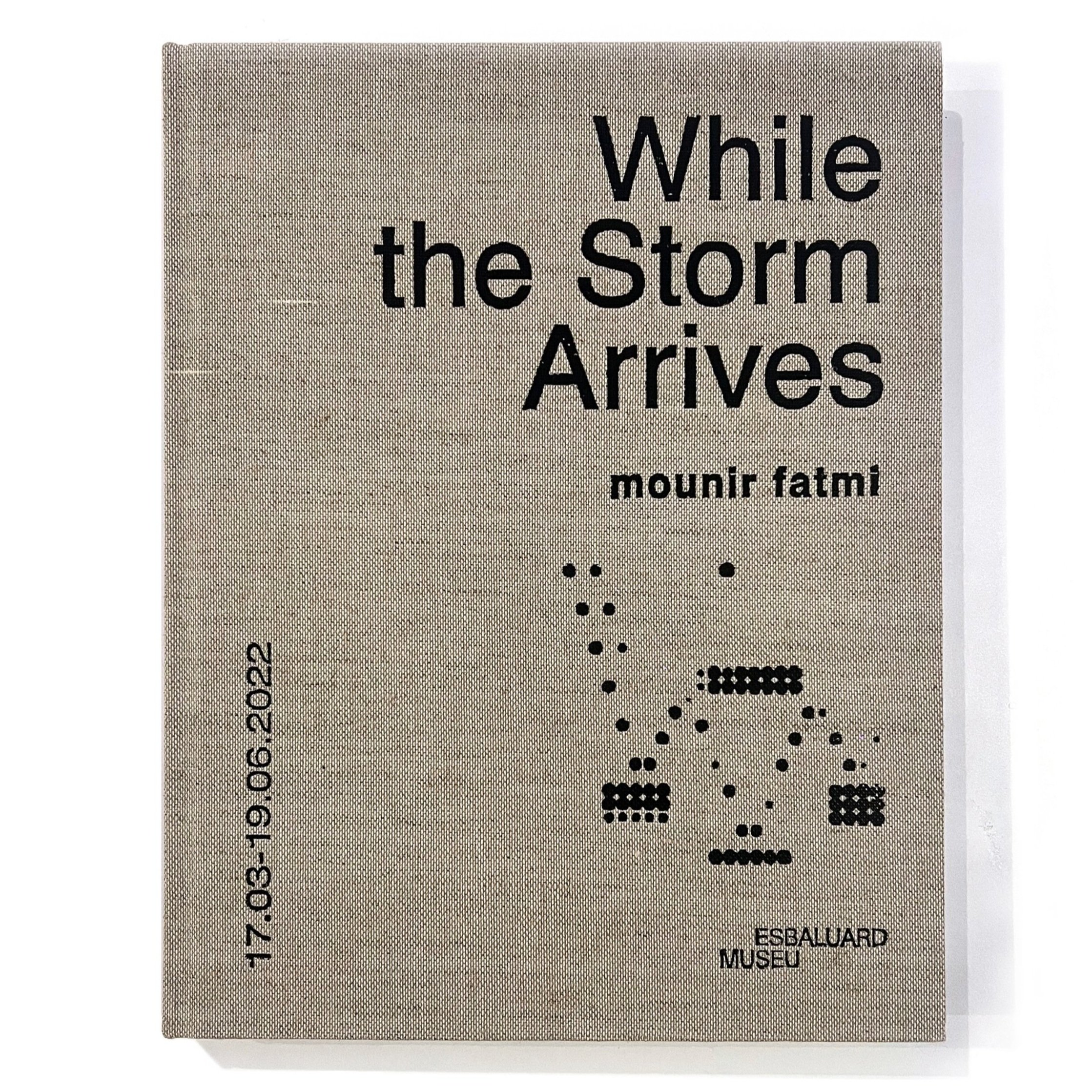 While%2Bthe%2BStorm%2BArrives_front.jpg