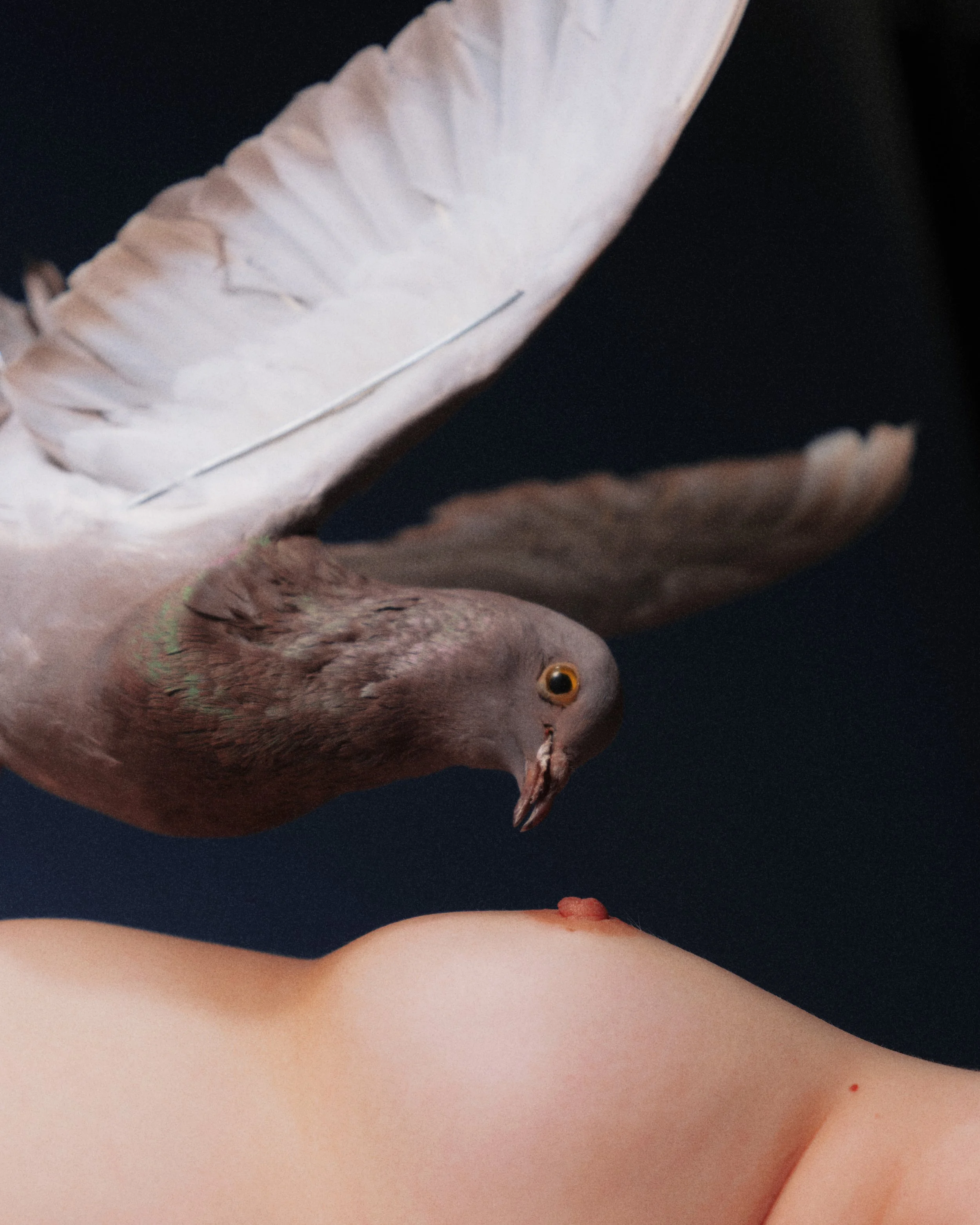 INTERVIEW | Yuchen Li