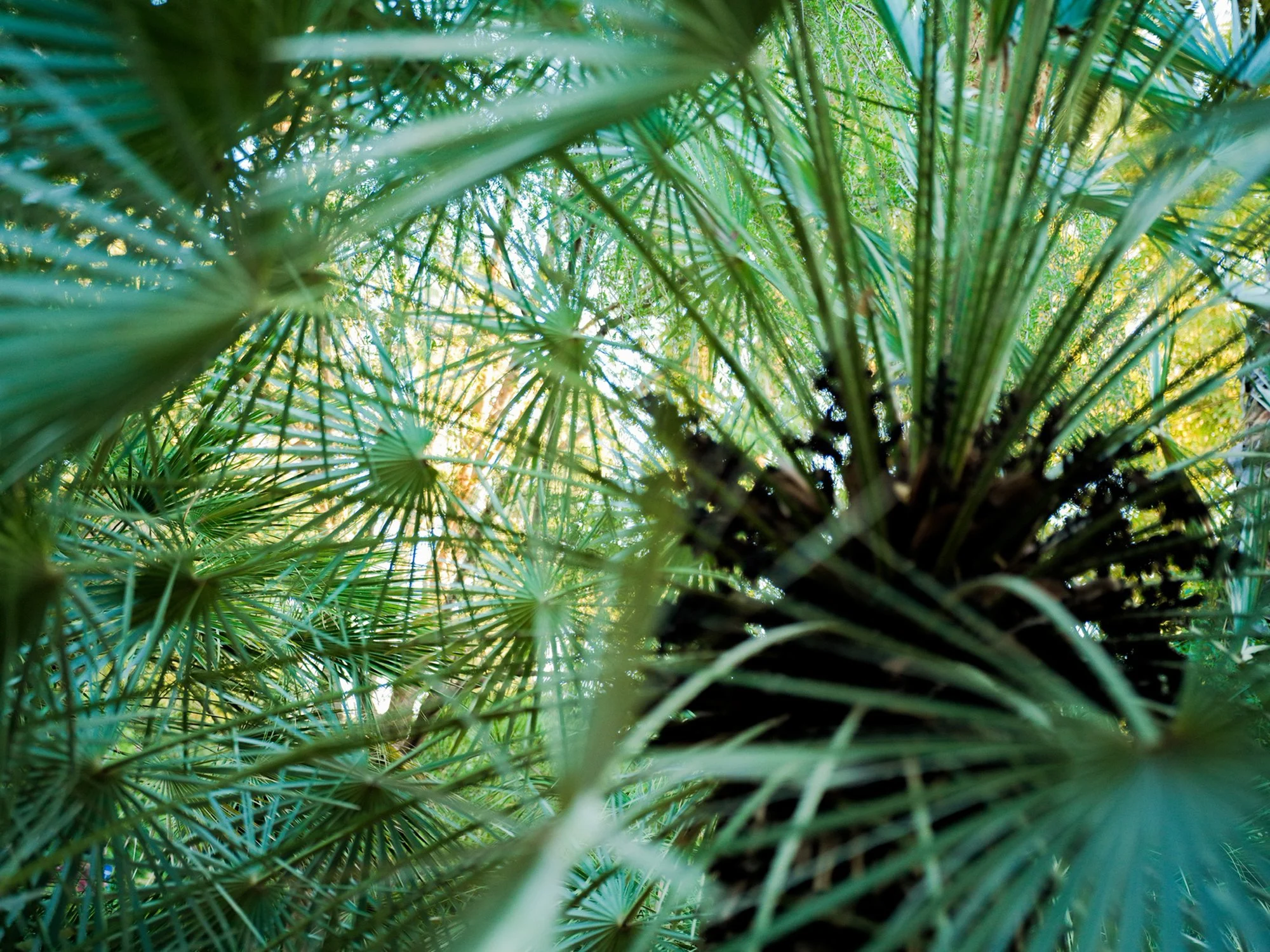 INTERVIEW | Xiuzhuo Zhou