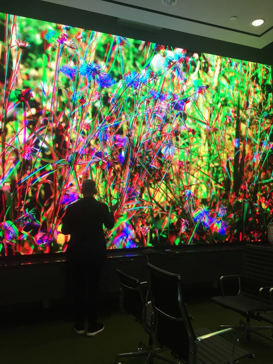 Russian Flowers at TD Bank Toronto