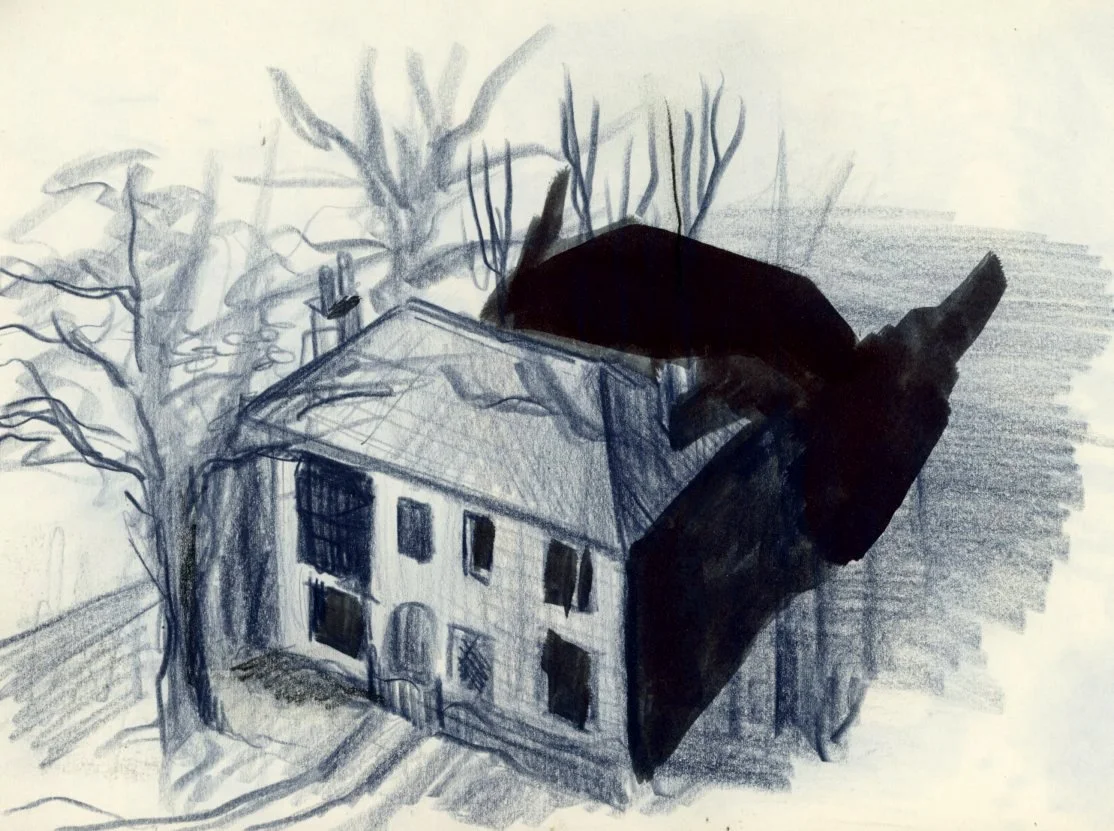 haunted_house_ink illustration.jpg