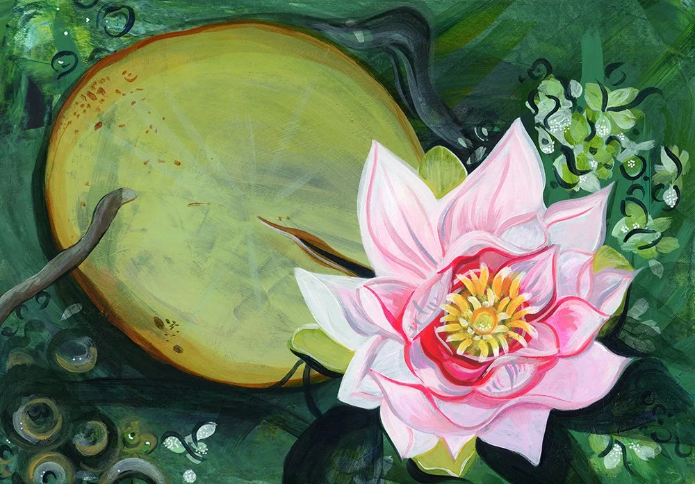 A pink water lily with yellow stamens floating next to a green lily pad on a pond.
