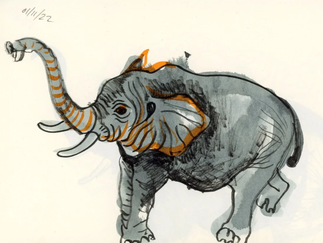 elephant ink illustration.jpg
