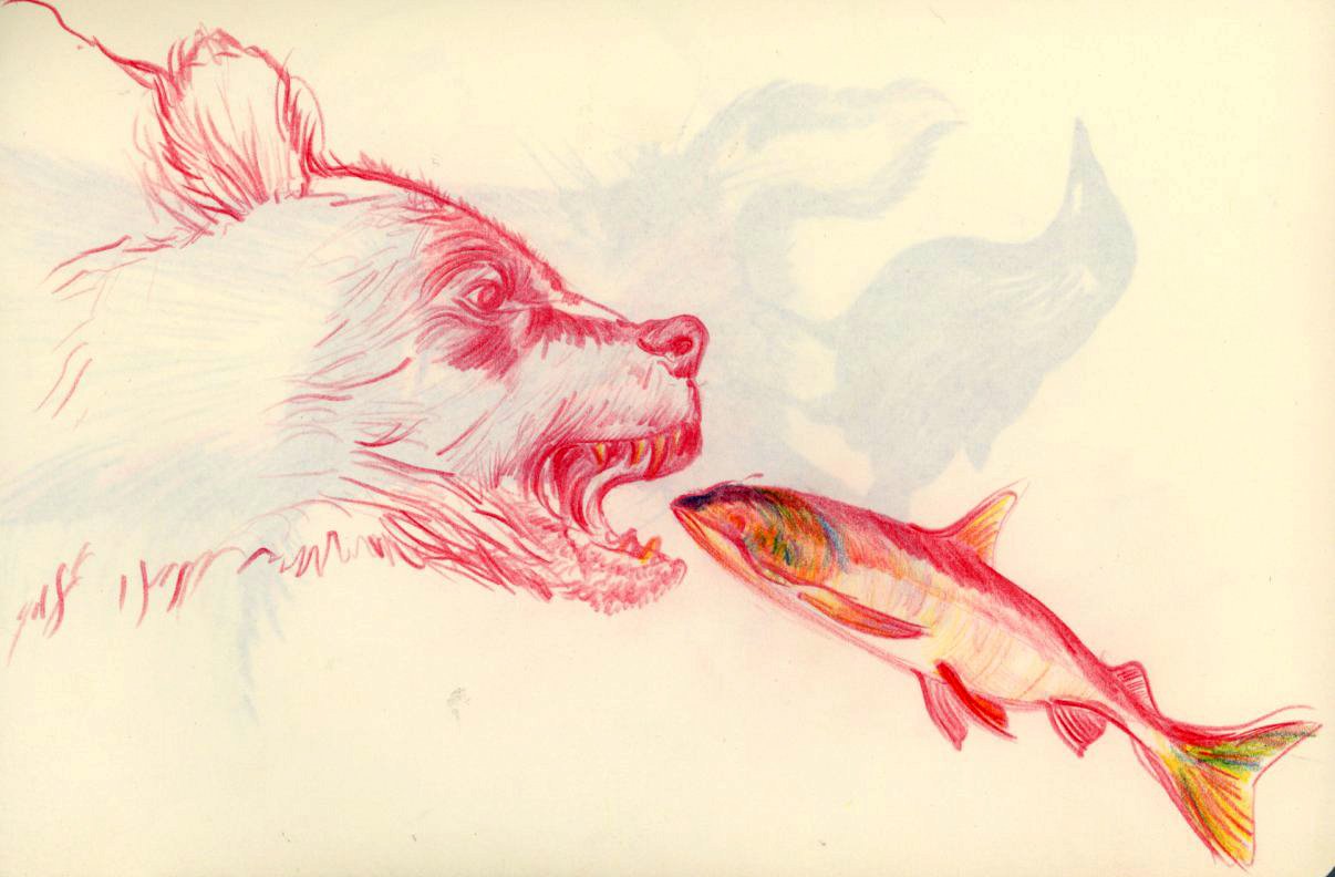 animal wildlife illustration bear.jpg