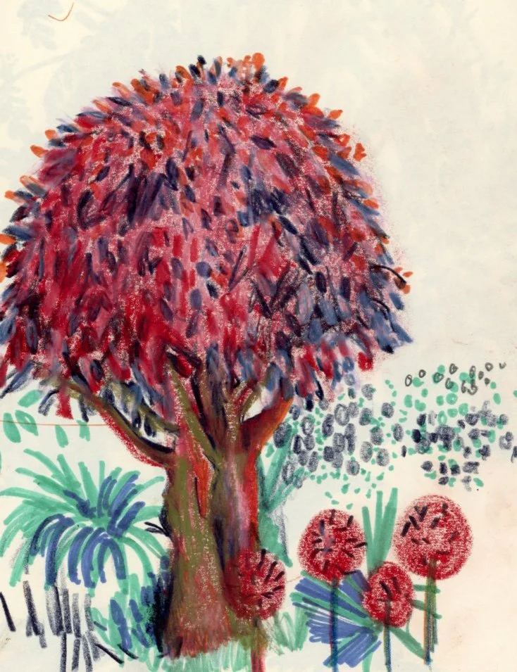 red tree illustration.jpg