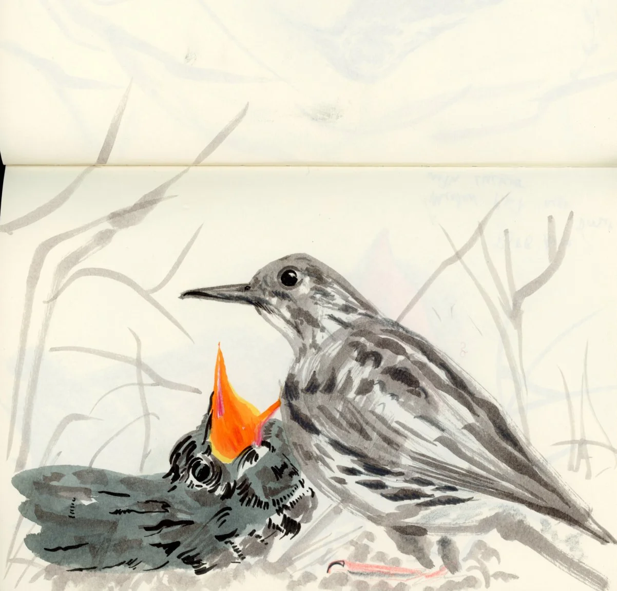 cuckoo_nest-illustration Reynard.jpg