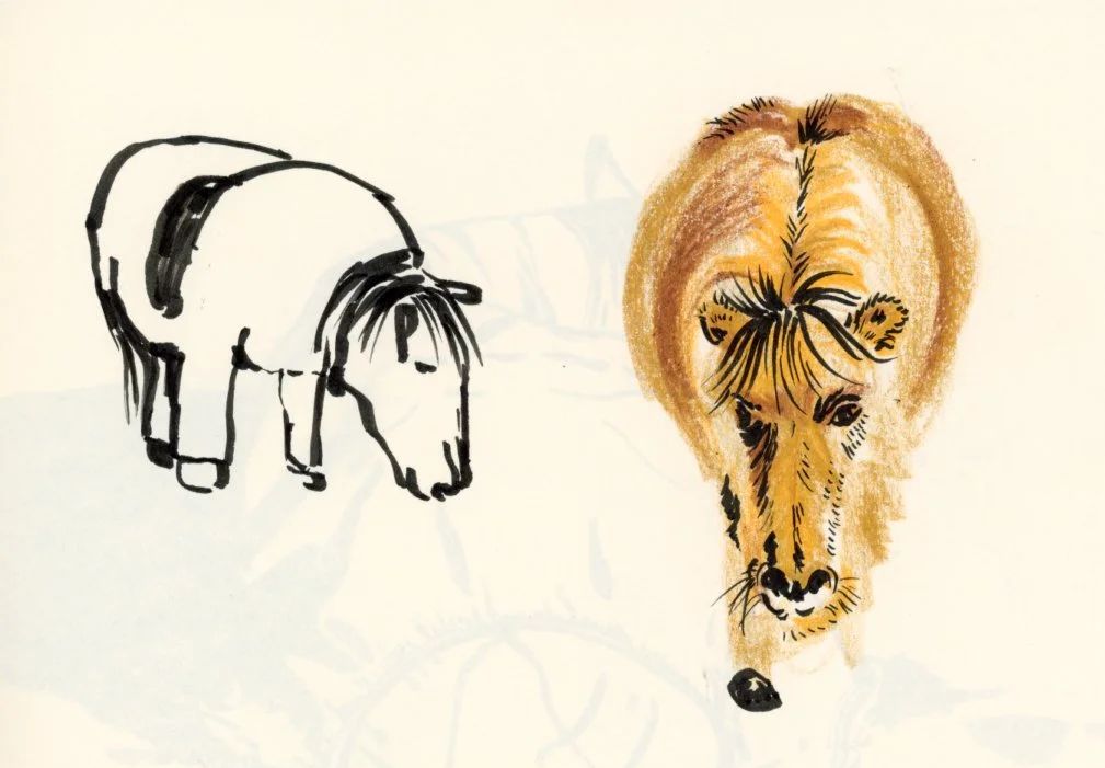 inky horse sketch.jpg