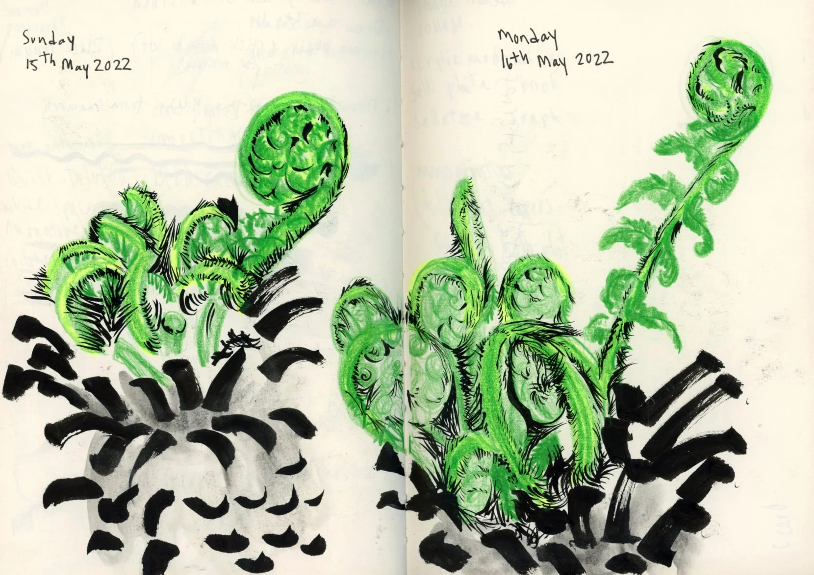 gardens_11.jpg