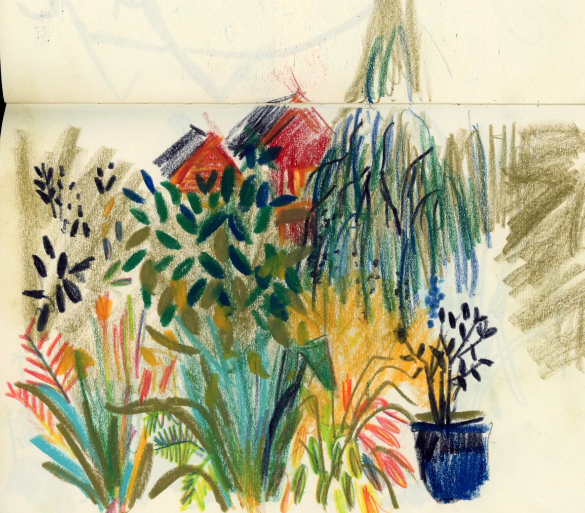 wildlife garden illustration.jpg