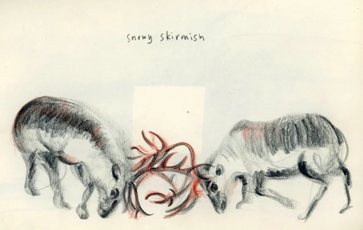 animal wildlife illustration antlers.jpg