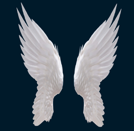 Angel's Bone - Amsterdam