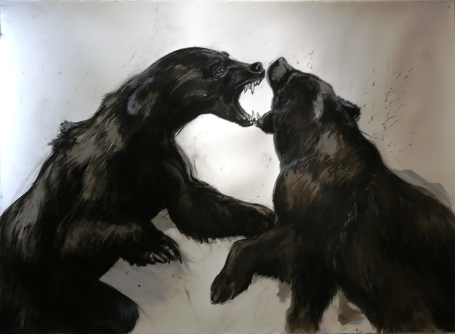 Chaos and conflict: Bears. Charcoal, ink wash, conte. 54" x 74"