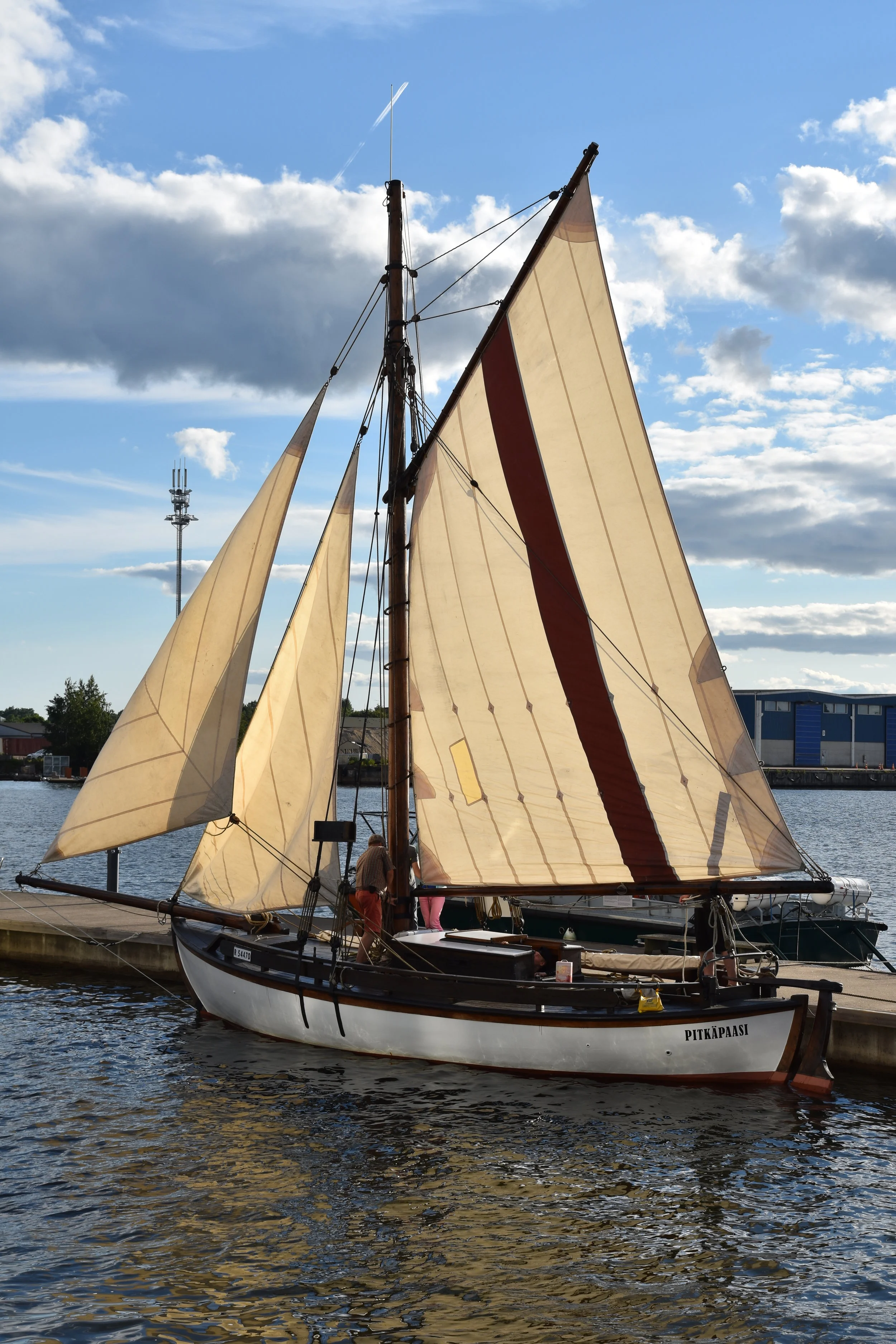 Pitkäpaasi-teemapäivä