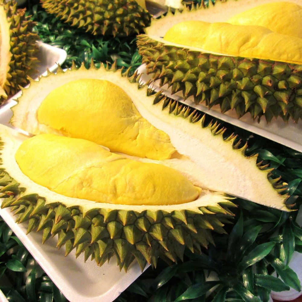 Durian (2).jpg