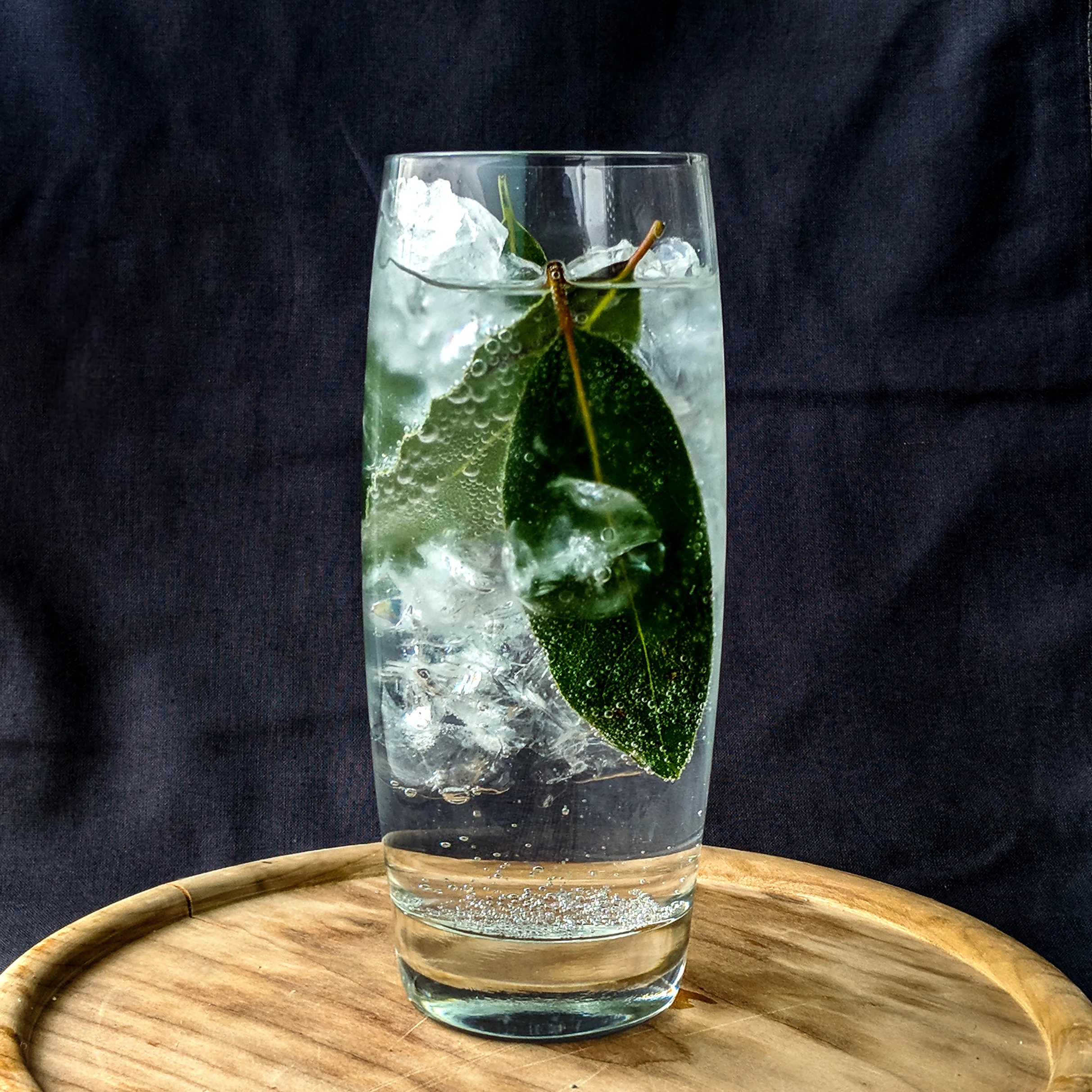 Aluna Cocktail 2.jpg