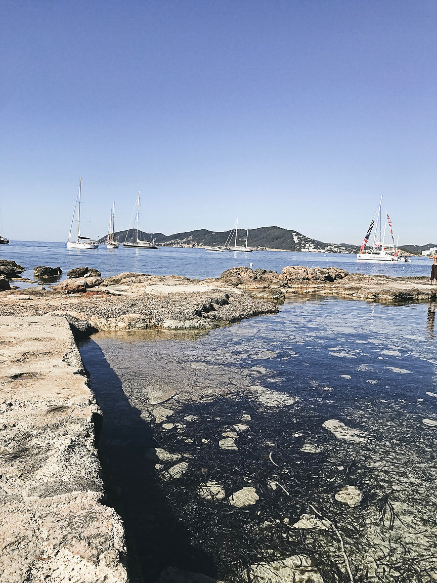 6d890a_30160269ca984e91acddb38ccb67fa91~mv2_d_1836_2448_s_2.jpeg