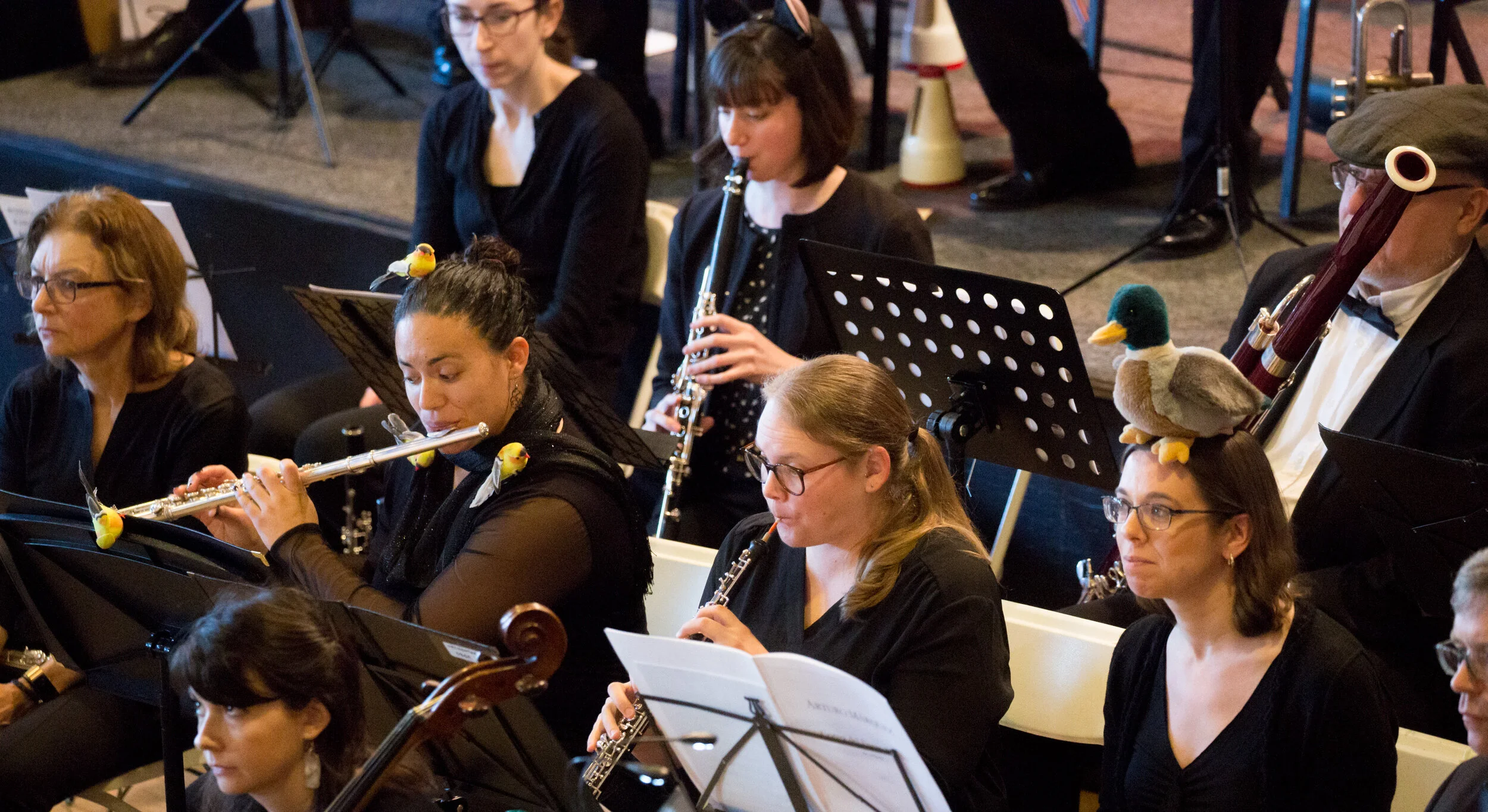 Family Concert (2:00pm)