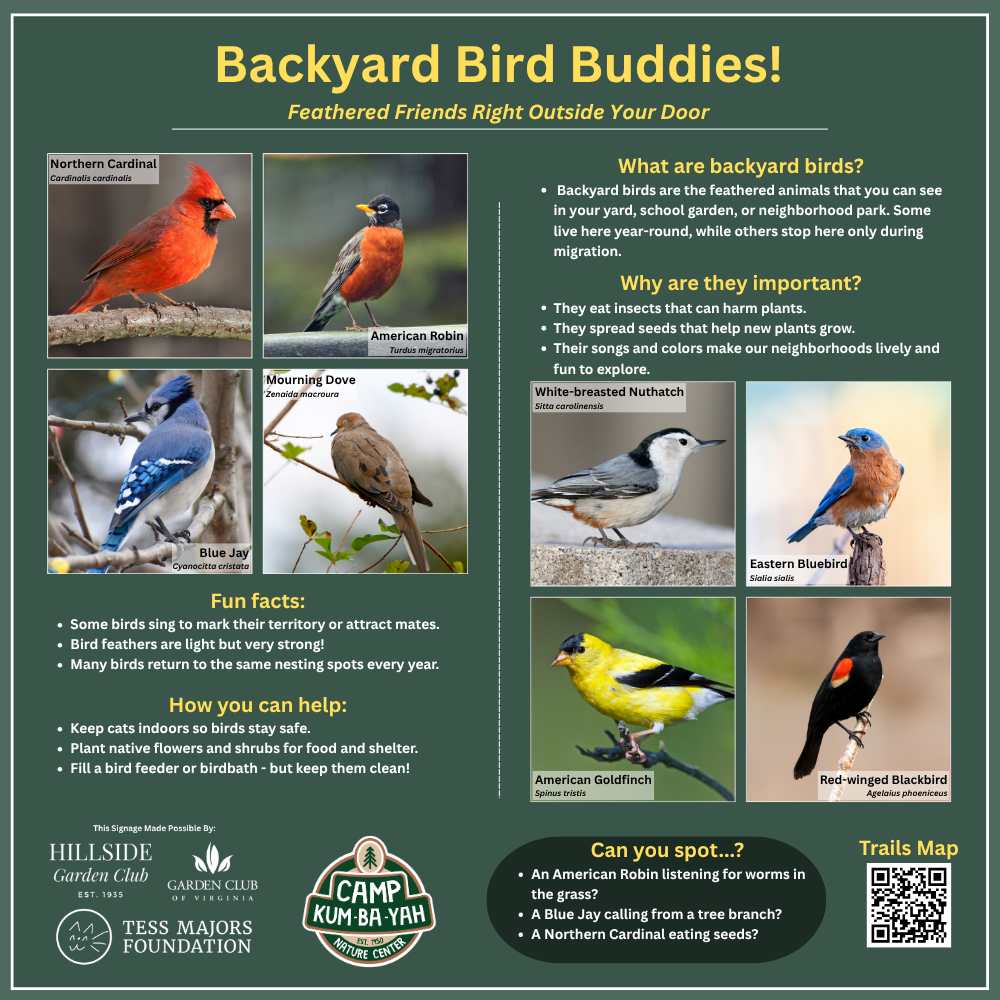 Backyard Birds - KinderWoods.png