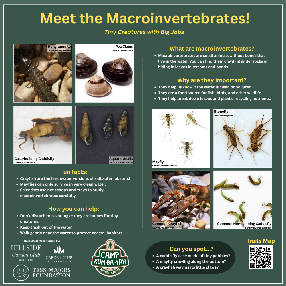 Macros - Outdoor Classroom.png