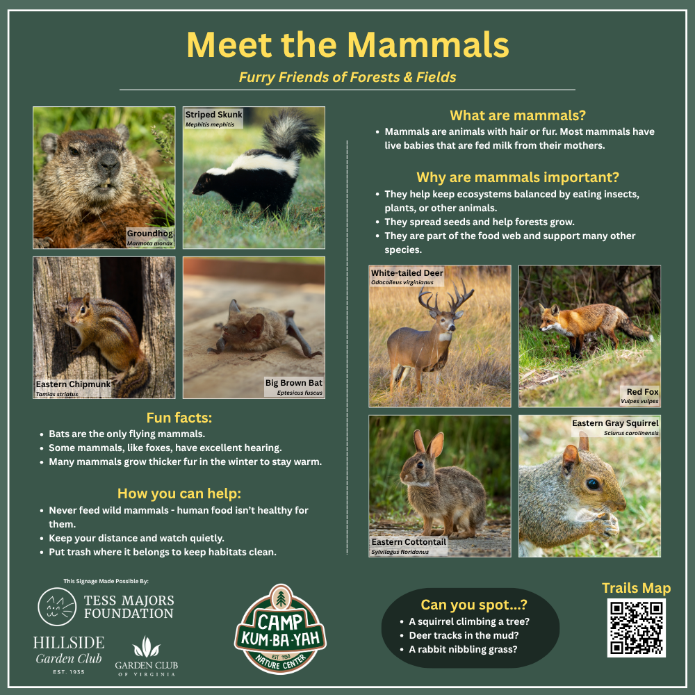 Mammals - KinderWoods.png