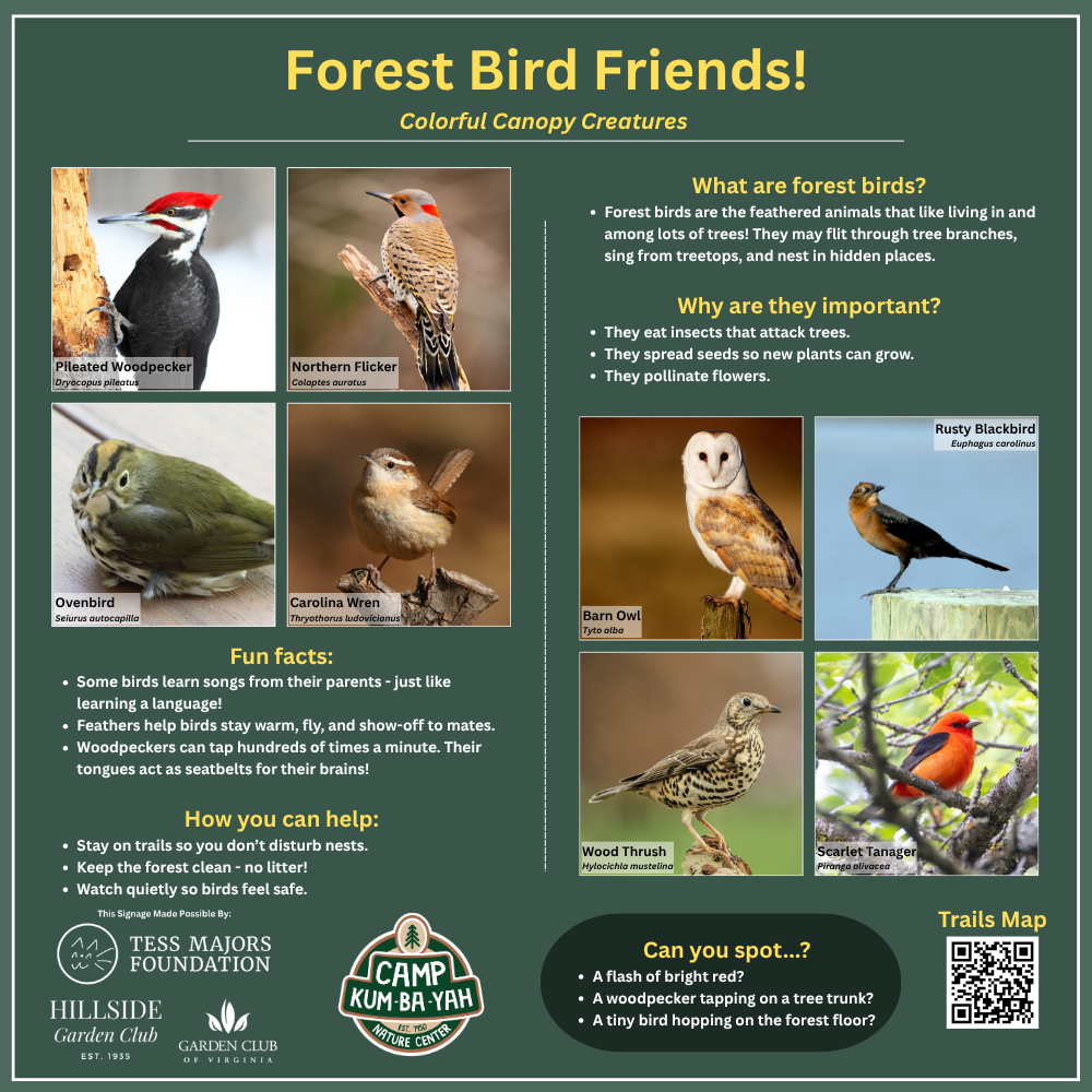 New Trail &amp; Interpretive Signs at CKBY!